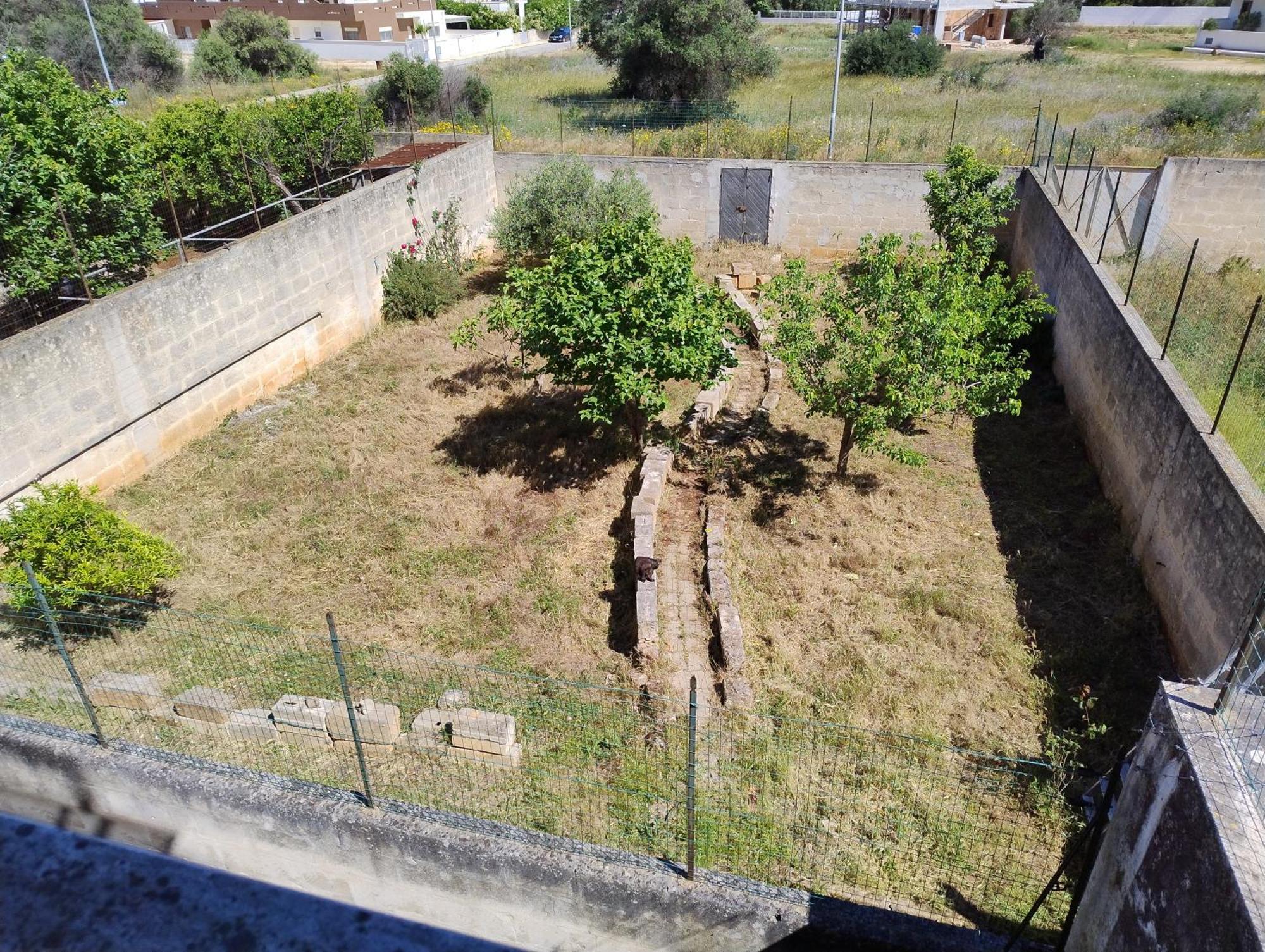 Favolosa Casa Con Terrazza, Idromassaggio, Cortile E Garage Auto Carovigno Extérieur photo