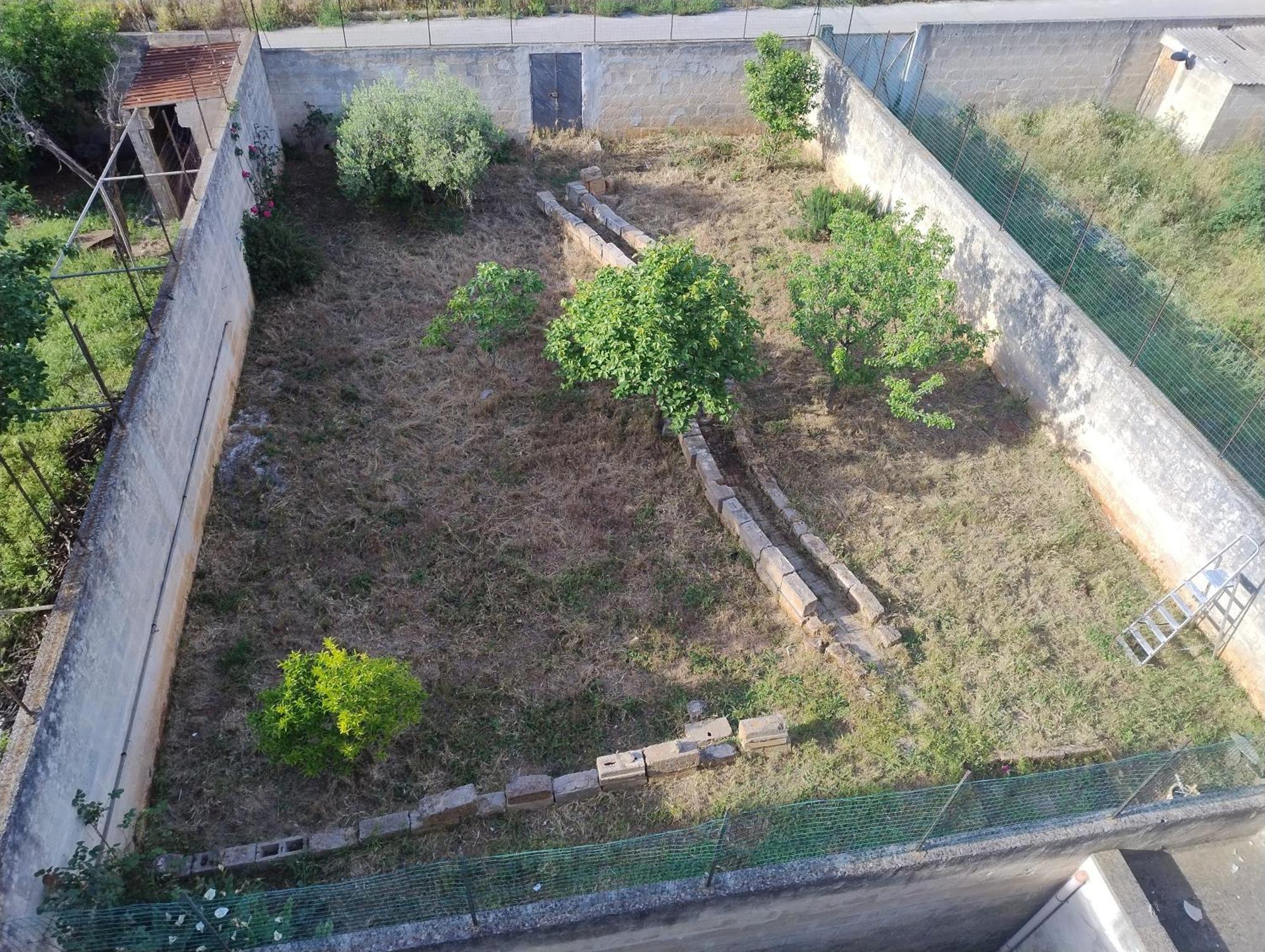 Favolosa Casa Con Terrazza, Idromassaggio, Cortile E Garage Auto Carovigno Extérieur photo